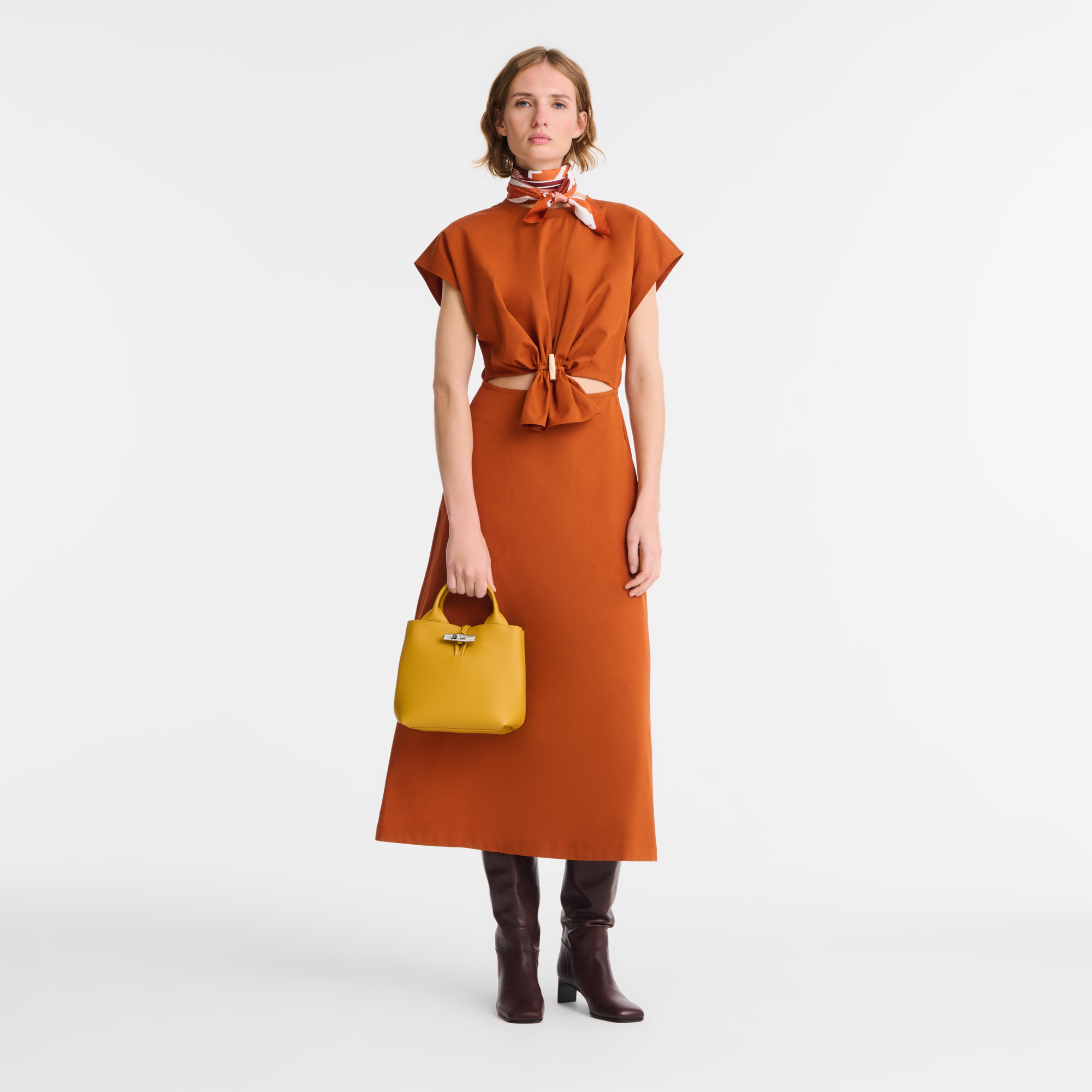 Le Roseau S Handbag / Nutmeg - Leather - Image 2