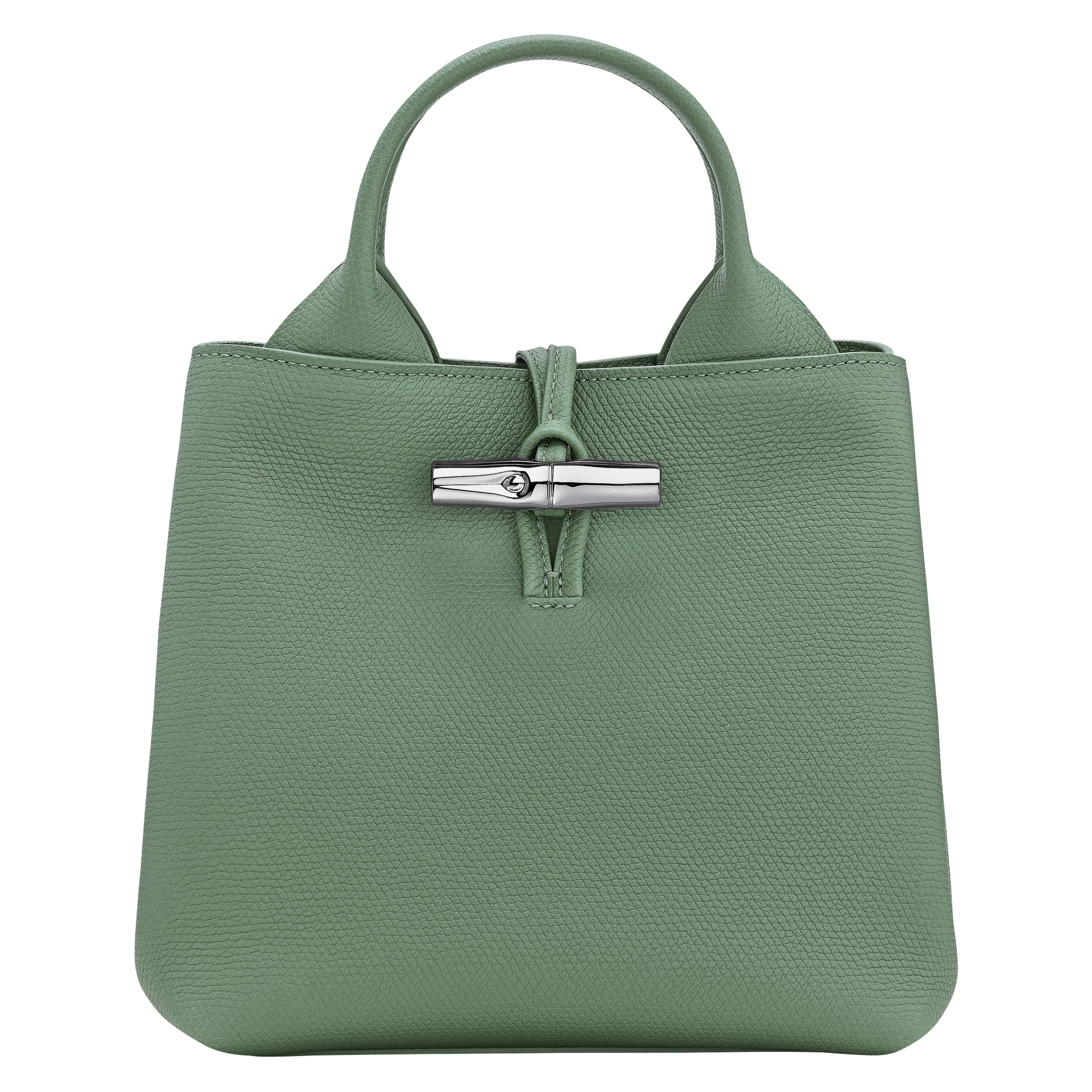 Le Roseau S Handbag / Oregano - Leather