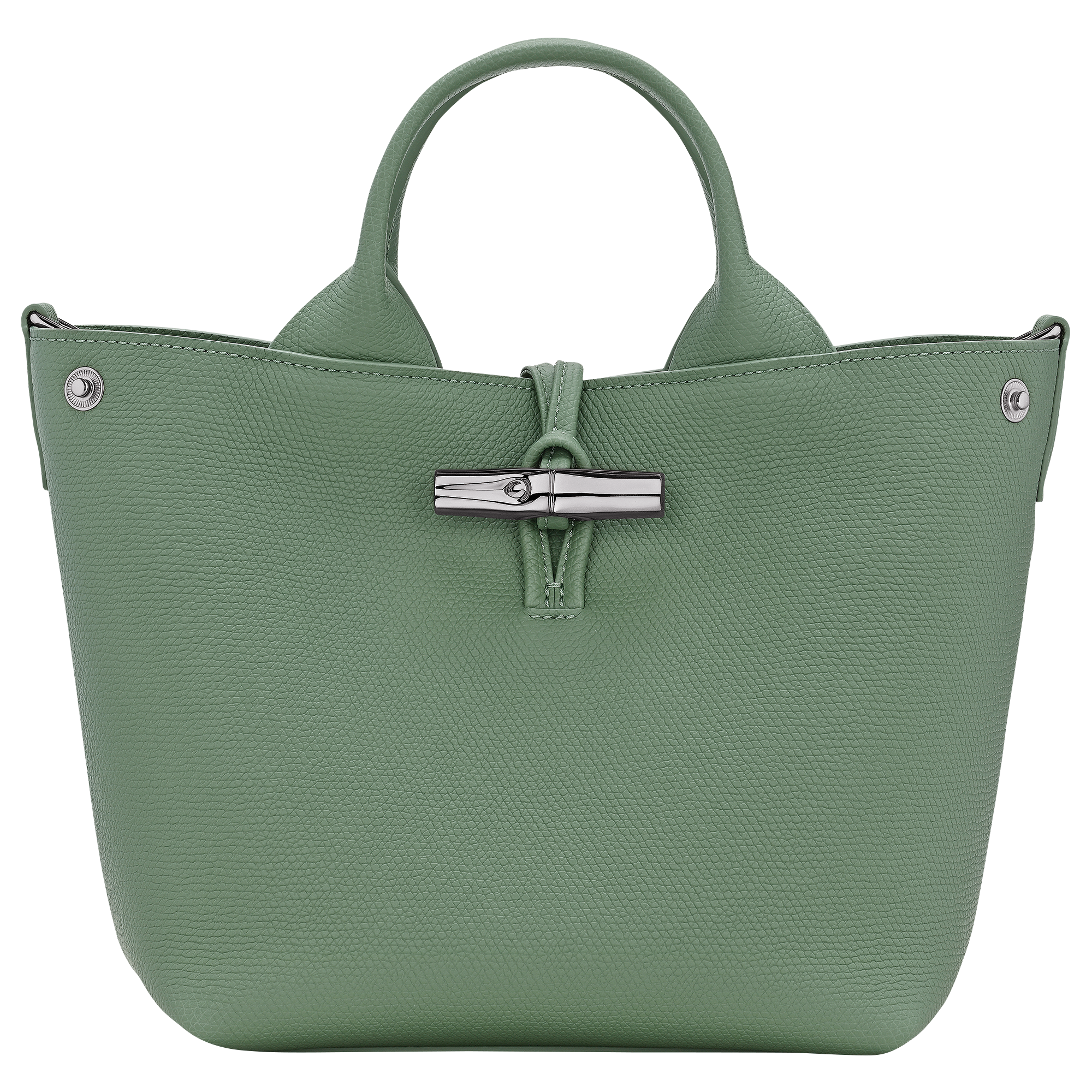 Le Roseau S Handbag / Oregano - Leather - Image 5