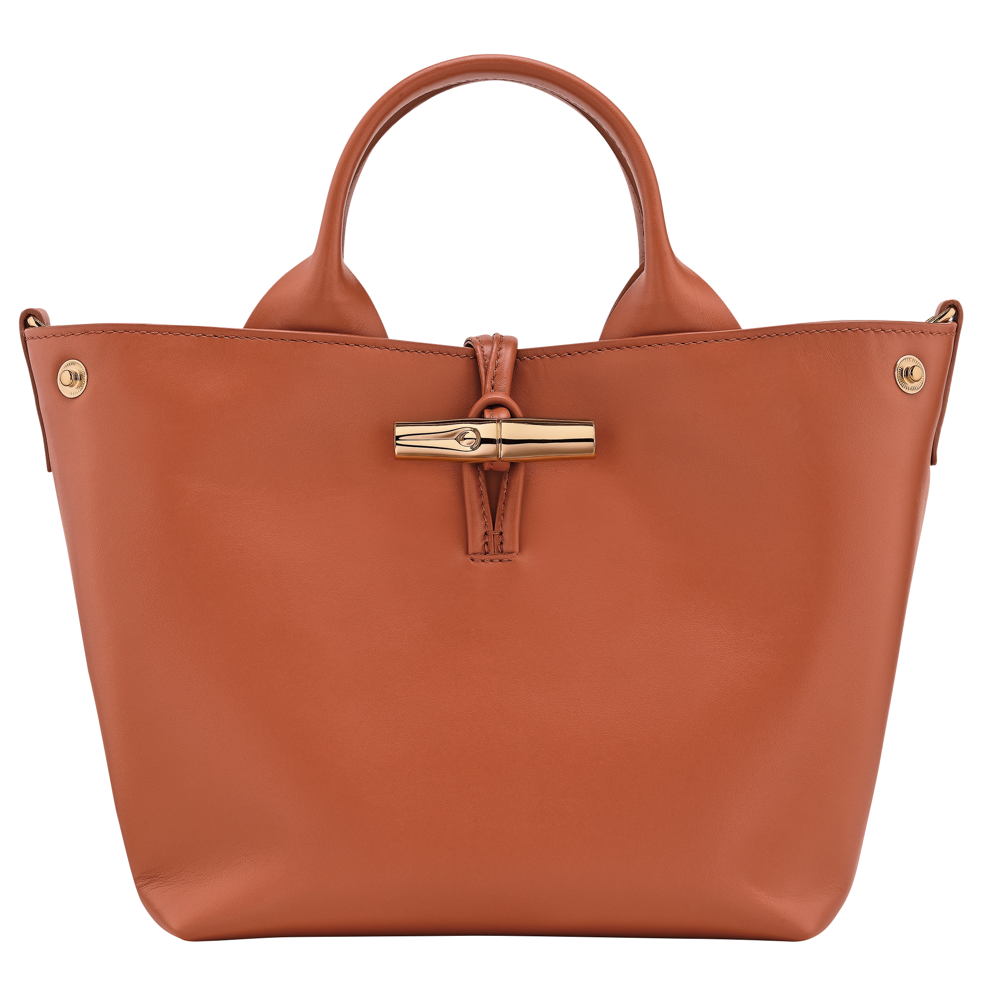 Le Roseau S Handbag / Bark - Leather - Image 5