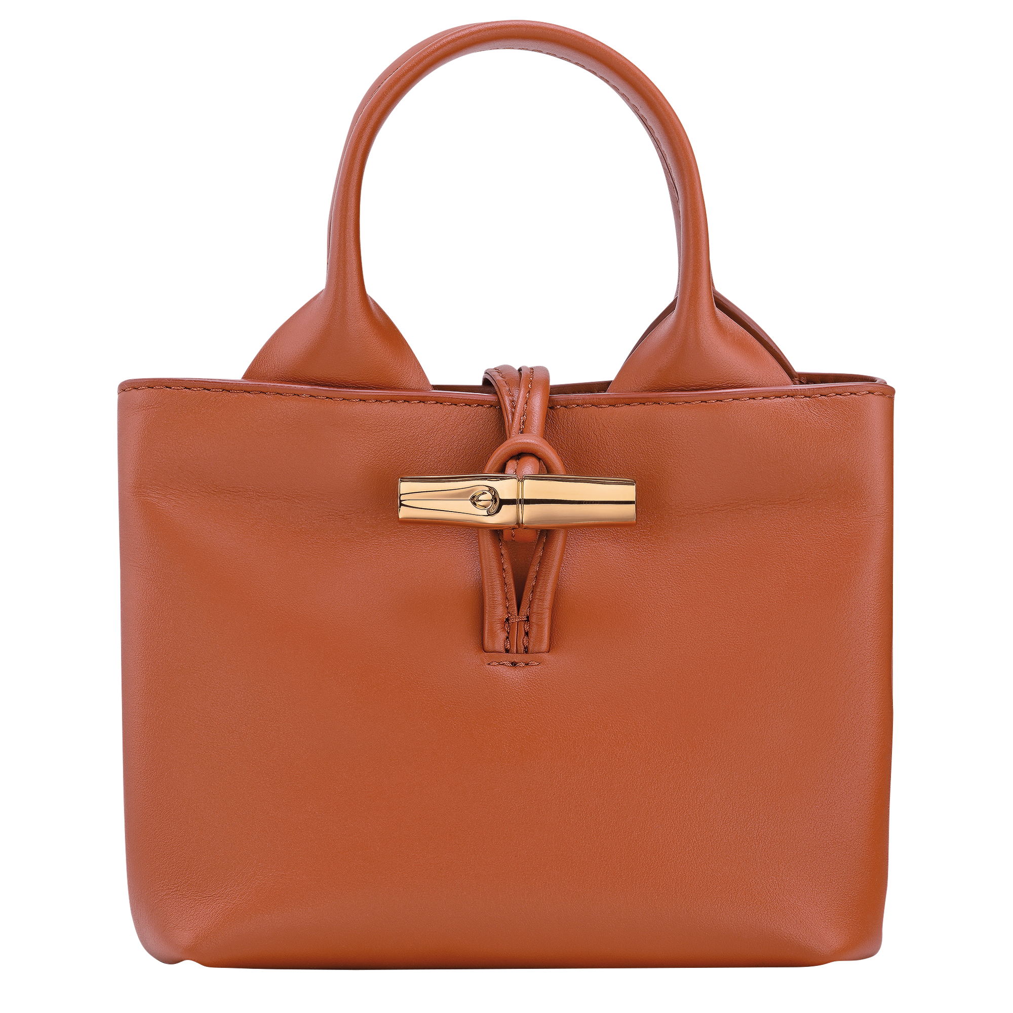 Le Roseau XS Handbag / Bark - Leather