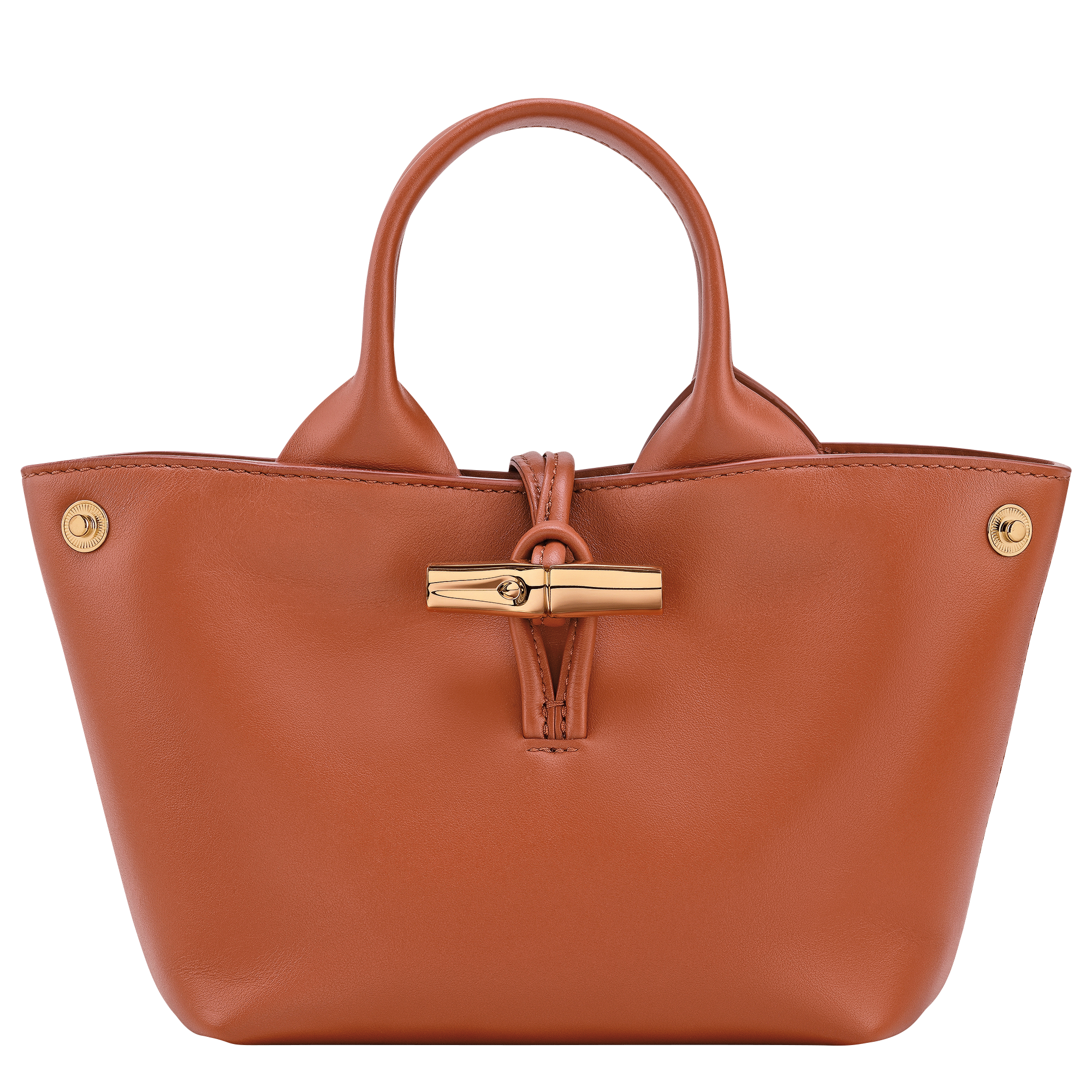 Le Roseau XS Handbag / Bark - Leather - Image 5