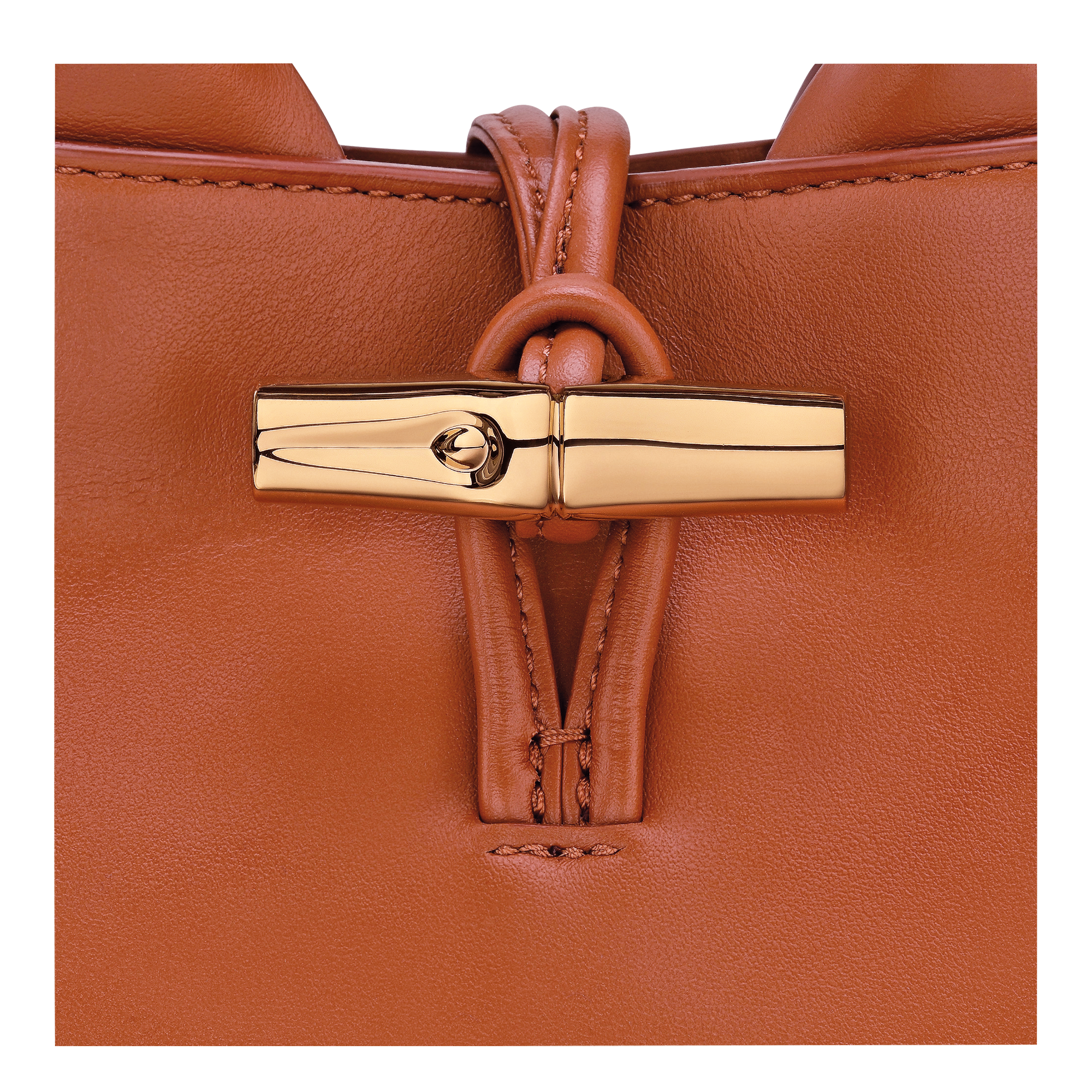 Le Roseau XS Handbag / Bark - Leather - Image 7