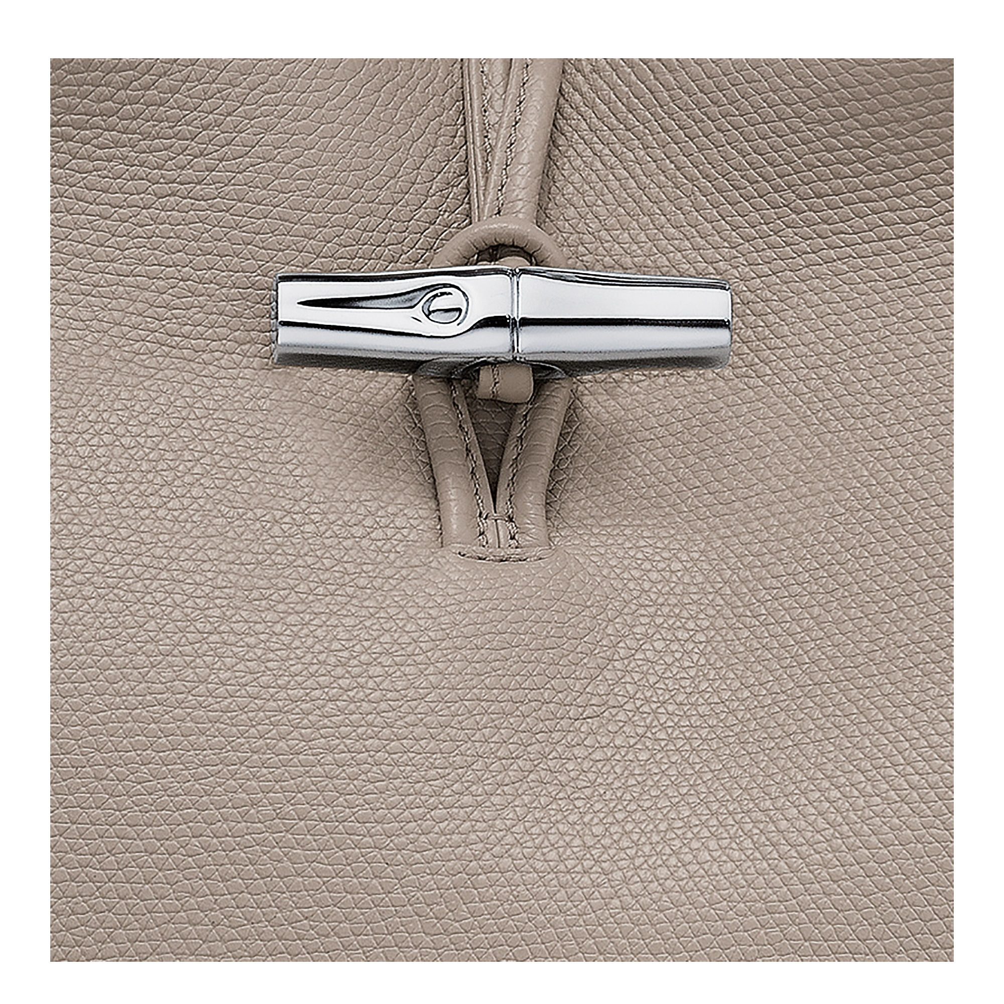 Le Roseau L Handbag / Clay - Leather - Image 6